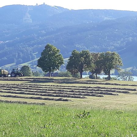 Hideaway Lejlighed Zell am Moos Eksteriør billede
