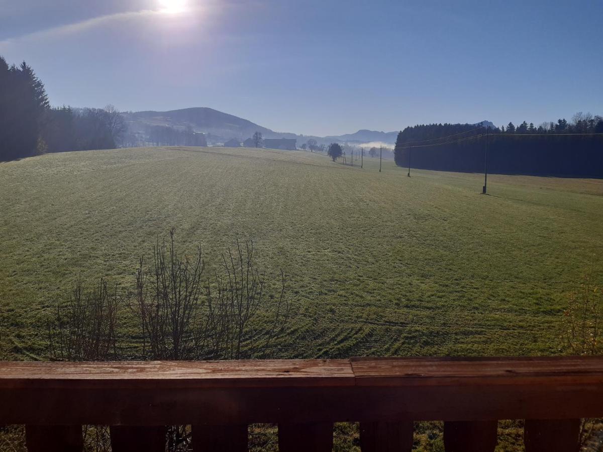 Hideaway Lejlighed Zell am Moos Eksteriør billede