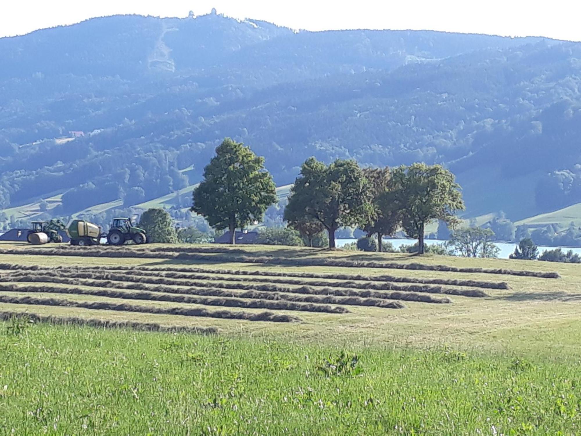 Hideaway Lejlighed Zell am Moos Eksteriør billede