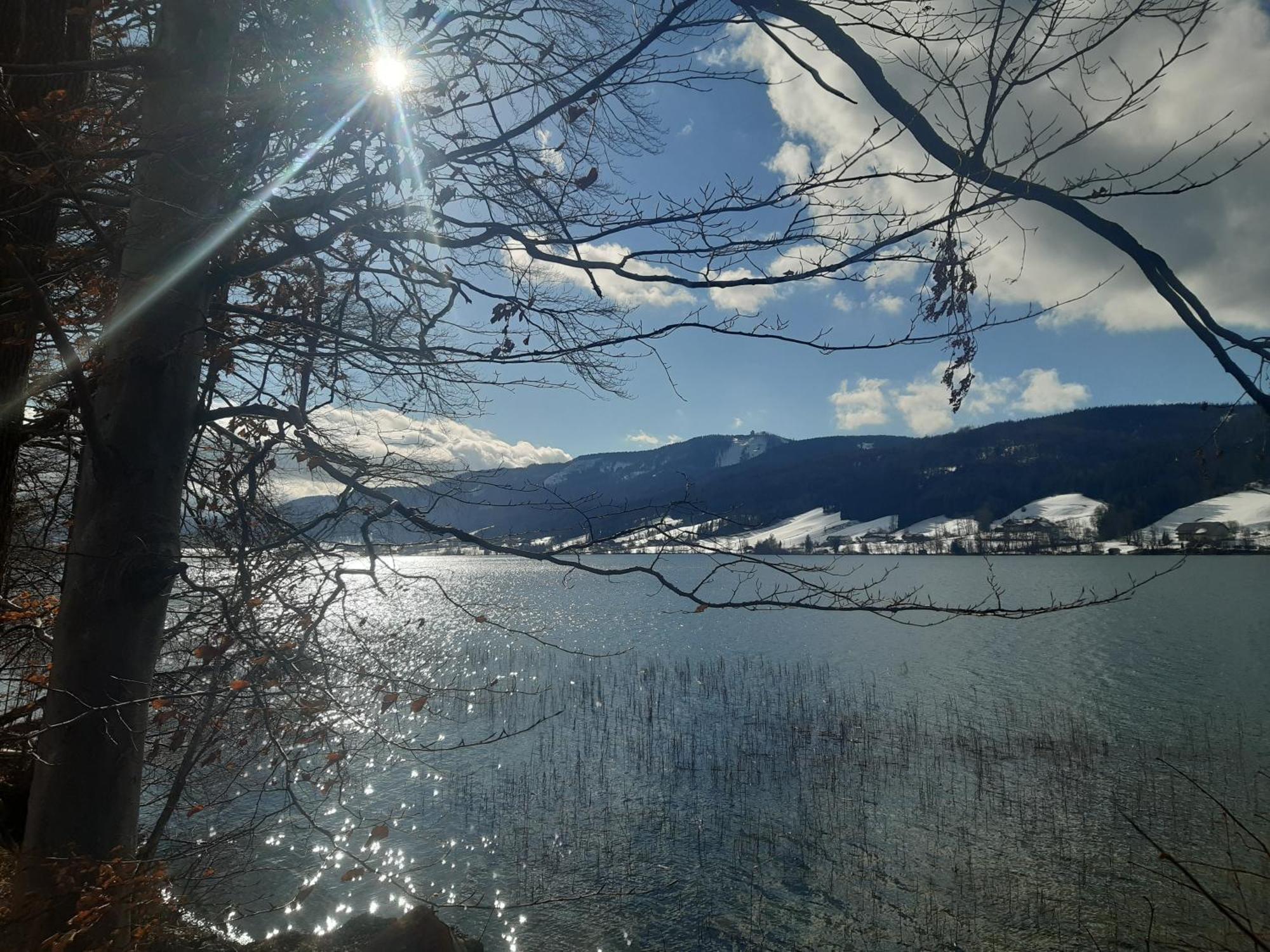 Hideaway Lejlighed Zell am Moos Eksteriør billede